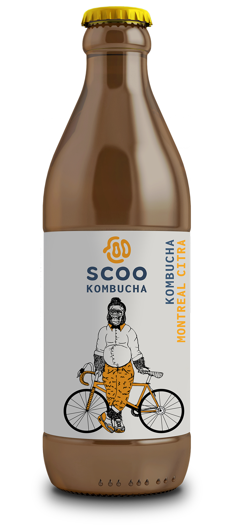 Bio Kombucha Montreal Citra