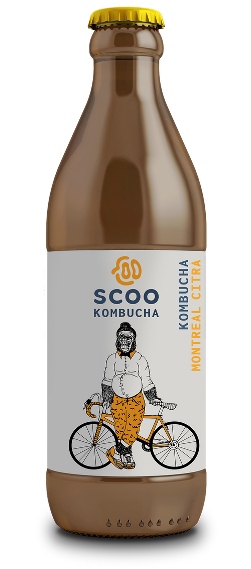 Bio Kombucha Montreal Citra